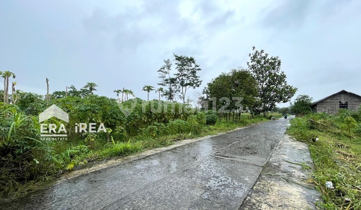 Tanah Dijual Murah Solo Area Pabrik Pt So Good Boyolali Tanah Dijual Murah Solo Area Pabrik Pt So Good Boyolali