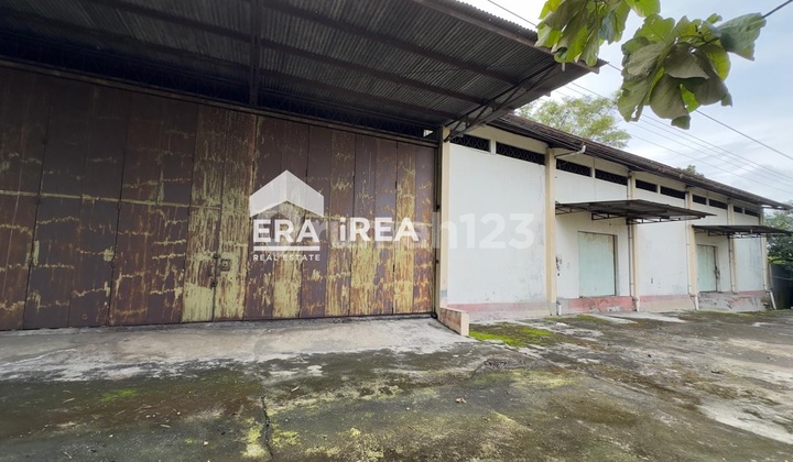 Warehouse for Rent in Sragen Near Gemolong Market Ready to Use
