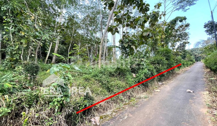 Land for Sale in Solo Near Telatar Boyolali Tourist Attraction