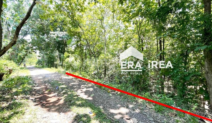 Land for Sale in Solo Near RSUD Simo Boyolali