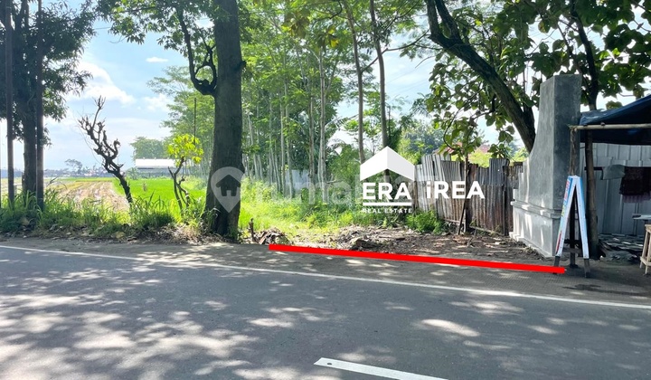 Land for Sale in West Solo Colomadu Near Kartasura Terminal