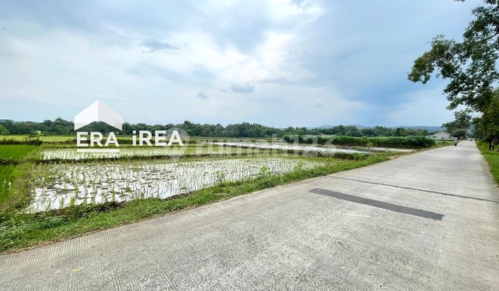 Tanah Pekarangan Dijual Di Boyolali Area Pasar Simo Akses Jalan Truk