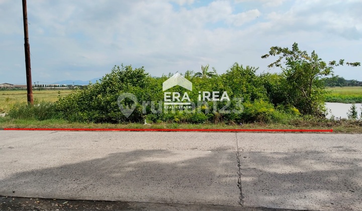 Tanah Dijual Solo Dekat Pasar Ir Sukarno Sukoharjo