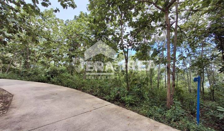 For Sale Strategic Land in Jogja Cafe Area