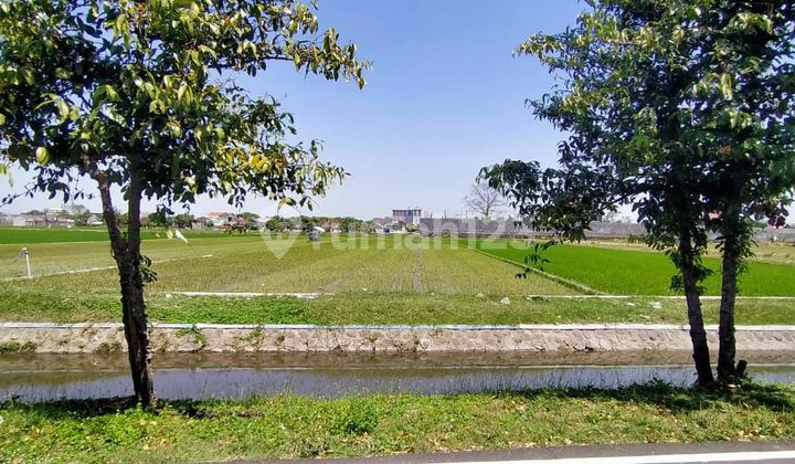 Tanah pekarangan murah strategis di colomadu solo Tanah pekarangan murah strategis di colomadu solo