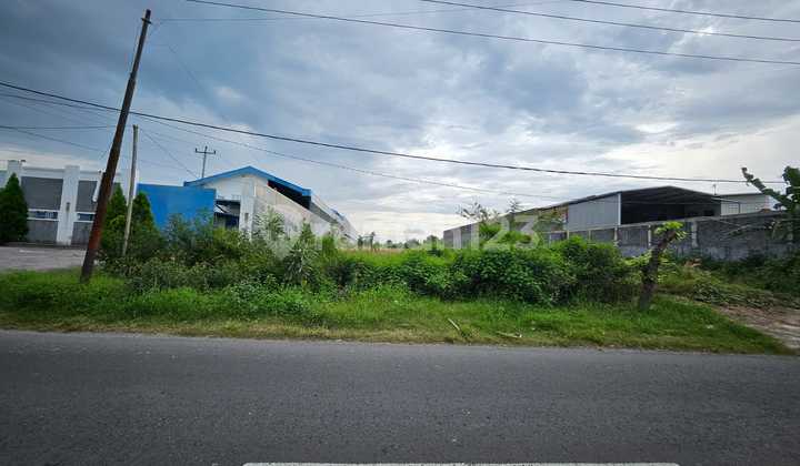 Land for Rent in Palur Warehouse Area, Karanganyar Solo. Container Access Suitable for Various Business Warehouses.