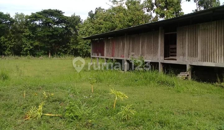 Tanah Siap Pakai Cocok Untuk Usaha Di Mondokan Sragen Tanah Siap Pakai Cocok Untuk Usaha Di Mondokan Sragen