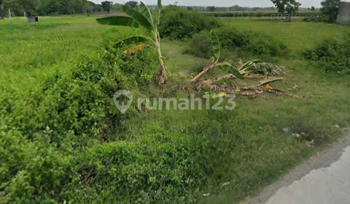 Land in Ngemplak Boyolali, East Facing. Suitable for Warehouses or Other Business Investments.