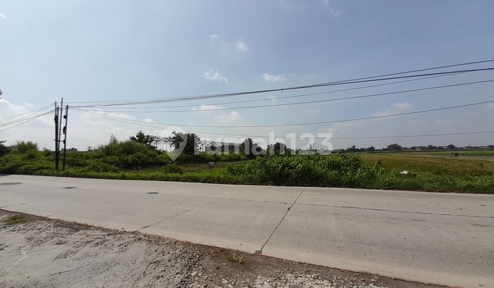 Land for Sale Solodi Tohudan Colomadu Karanganyar