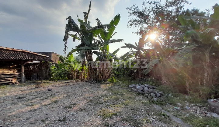 Cheap Land for Sale in Solo, Wonorejo, Gondarejo, Karanganyar Cheap Land for Sale in Solo, Wonorejo, Gondarejo, Karanganyar