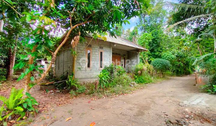 Rumah Murah Yogyakarta Bantul 4
