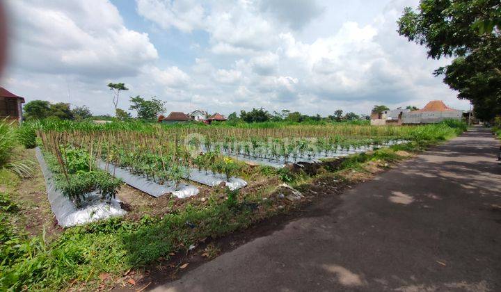 Tanah Yogyakarta Sleman 2