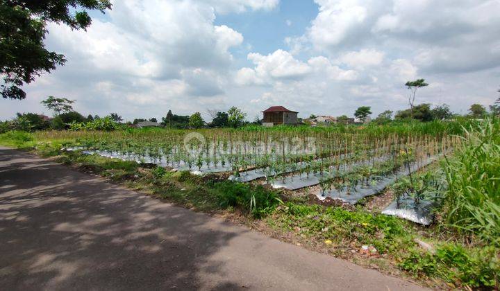 Tanah Yogyakarta Sleman 5