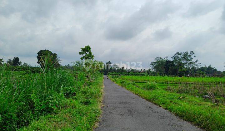 Tanah Yogyakarta Pakem Sleman 2