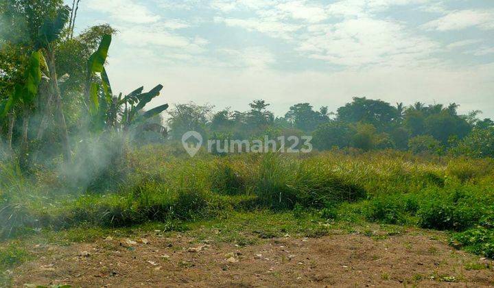 Tanah Murah Meriah Strategis Jalan Kaliurang Ngemplak Sleman 2