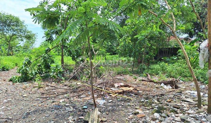 Tanah potensial dekat Kampus UPN Jogja 2