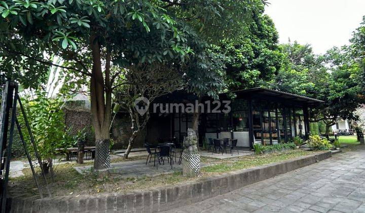 Rumah klasik murah  kolam renang Jogja tengah 2