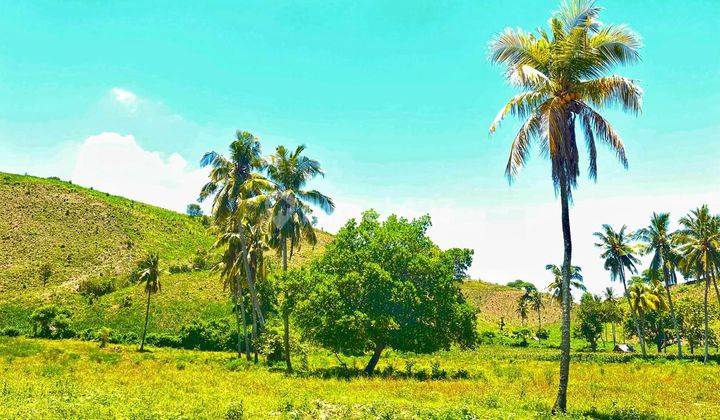 Tanah Pinggir Pantai  Lombok Barat 2