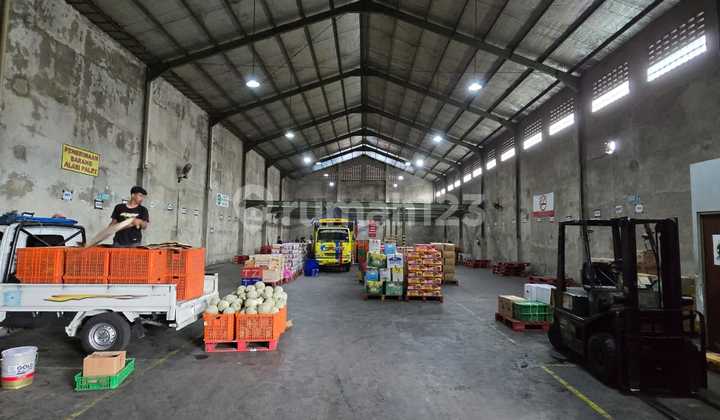 Steel Frame Warehouse. Ready to Occupy in Dongkelan, Bantul.