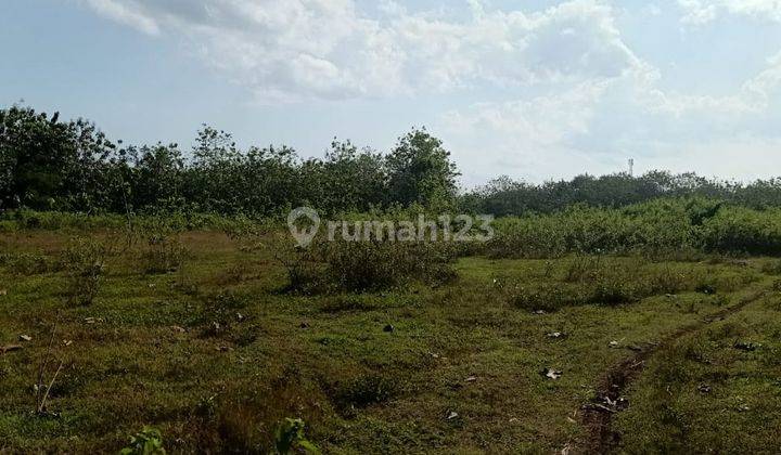 Tanah Strategis semanu Wonosari Gunung Kidul 2