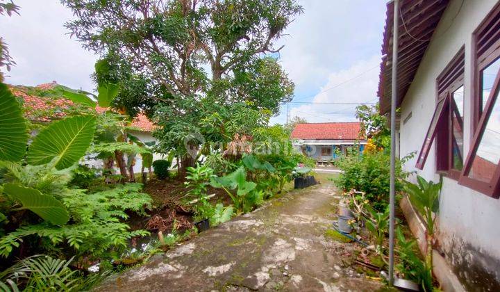 Rumah Murah Kota Purworejo 5