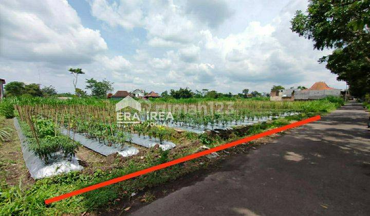 Tanah Sewa Strategis Gito Gati Sleman 1