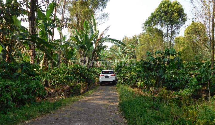 Di Jual Tanah Kebun Lokasi Mandirancan Kuningan 2