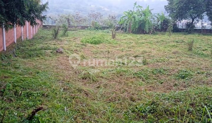 Dijual BU, tana di JL Jangli Gabeng raya luas 2500m SHM 1