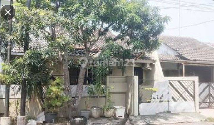 Dijual cepat.. BU...  rumah bagus siap pakai di Perumahan Puri Anjasmoro Blok P Semarang 1