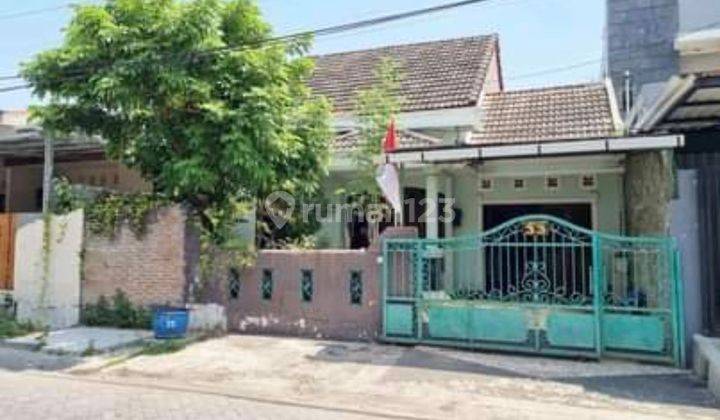 Dijual BU... murah meriah.. tanah di JL Sidomulyo Raya Tlogosari Semarang 1