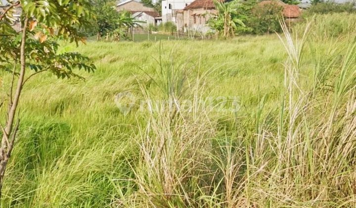 Jual cepat..BU.. property di Jl Trimulyo sayung , Semarang 1