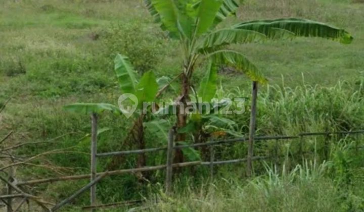 Jual cepat ...BU... property SHM JL Raya Onggorawe, Sayung, Demak (zona Industri)  Semarang jawa tengah  1