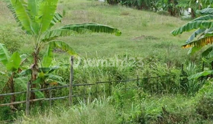 Jual cepat ...BU... property SHM JL Raya Onggorawe, Sayung, Demak (zona Industri)  Semarang jawa tengah  2