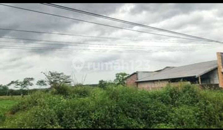 Dijual cepet....BU... property di JL Raya Boja Kaliwungu raya  1