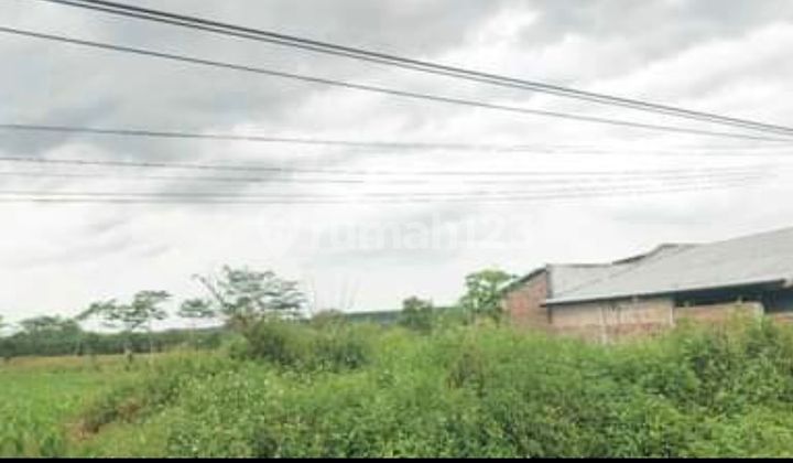 Dijual cepet....BU... property di JL Raya Boja Kaliwungu raya  2