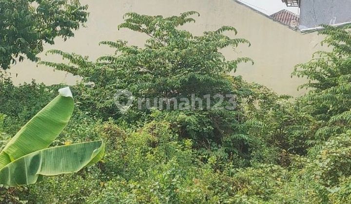 For Quick Sale: Shop House on Jagalan Street, Semarang, Area 80m² 2