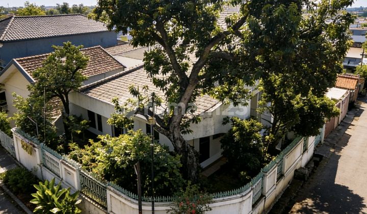 For Quick Sale ... Mrs. House At Jl Seroja Dalam Raya Semarang 1