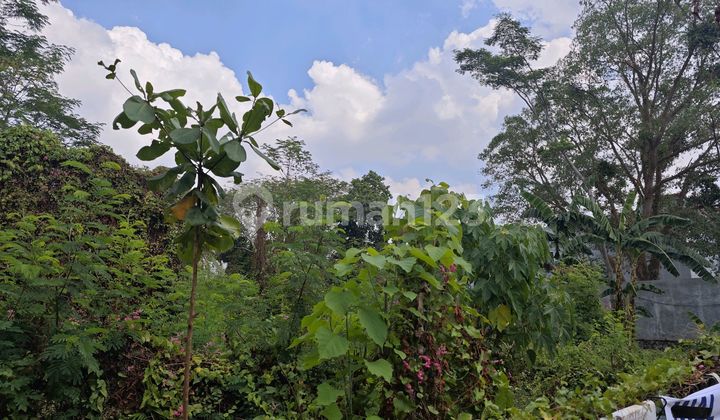 Dijual Cepat.. Property Di Jl Jangli Raya Semarang 1