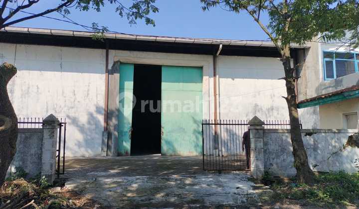 Disewakan Gudang di Kic Gatot Subroto Semarang Luas 1000M, Bangunan 880M, Bagus dan Siap Pakai. 1
