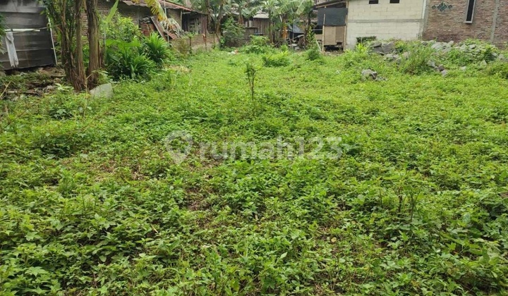 Jual Cepat Property Berupa Kantor Dan Gudang Di Mijen 2