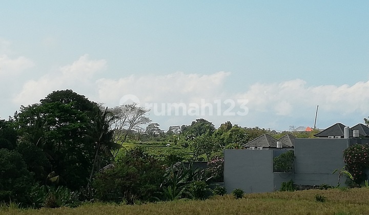Leased land area 5000m2 (50 ares), on Pantai Nyanyi Street, Badung, Bali.