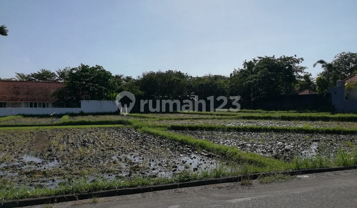 Tanah Disewakan, Luas 2375m2, Di Berawa, Canggu, Bali