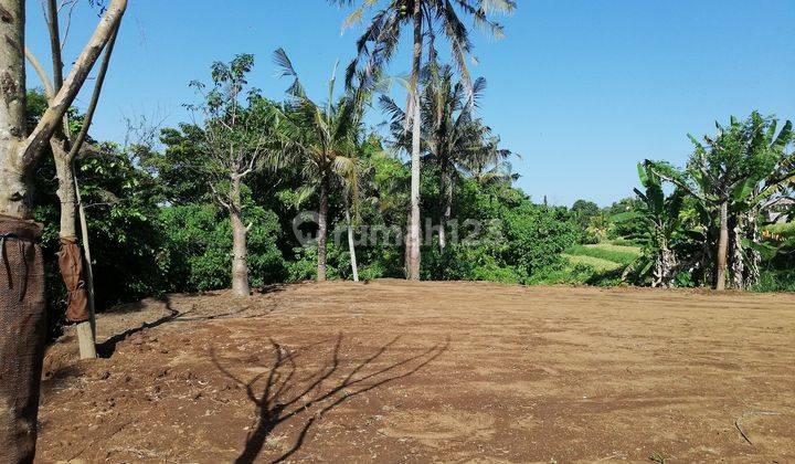 Land for rent, 30,000m2, view of rice fields and river, near Ubud, Bali 1