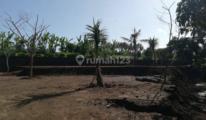 Land for rent, 30,000m2, view of rice fields and river, near Ubud, Bali 2