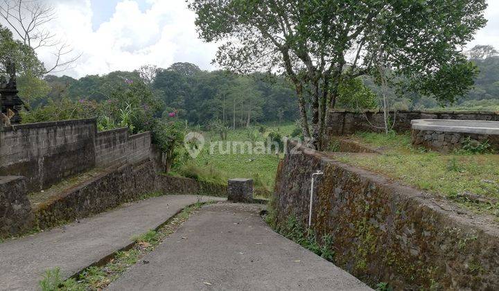 Tanah Dijual, Luas 20.000m2, di Munduk, Buleleng, Bali 2