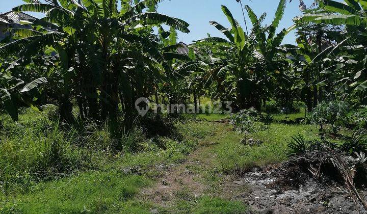 Land for rent, 2,600m2, Jln Tukad Musi, Renon, Denpasar, Bali 2