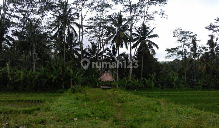 Land 66,118m2, View of Gunung River Rice Fields, in Ubud, Gianyar, Bali 1