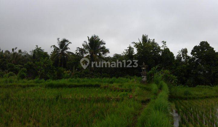 Land 66,118m2, View of Gunung River Rice Fields, in Ubud, Gianyar, Bali 2