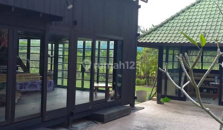 Villa Dijual, 3 Kamar Tidur, Lahan 11.100m2, Petang, Badung, Bali 5