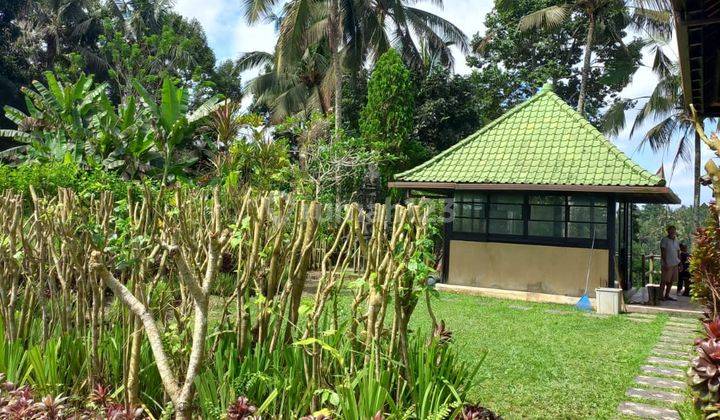 Villa Dijual, 3 Kamar Tidur, Lahan 11.100m2, Petang, Badung, Bali 6